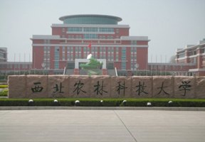 西北农林科技大学图片