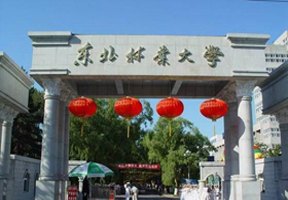 东北林业大学图片